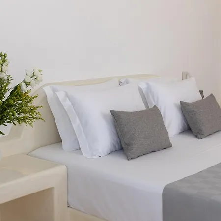 Apartment Theophrasti Foinikia (Santorini)